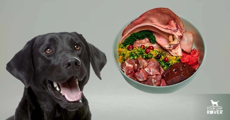 best organ meat for dogs