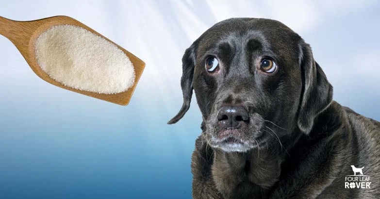 is maltodextrin bad for dogs