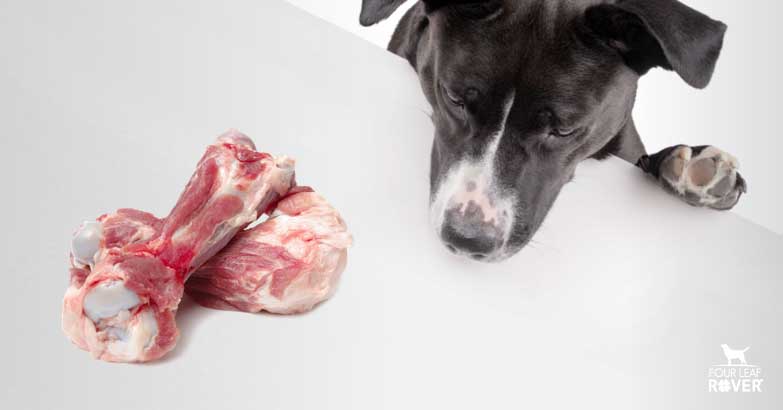 Can dogs eat pork bones