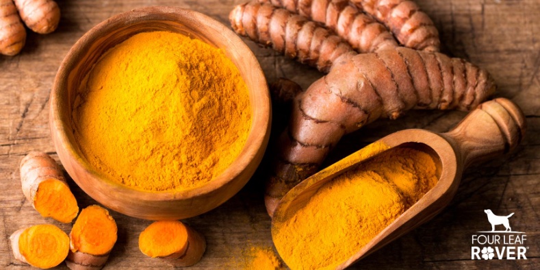 turmeric for dogs